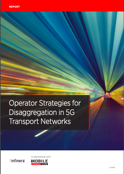 Survey Report: Operator strategies for disaggregation in 5G transport networks